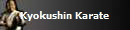 Kyokushin Karate
