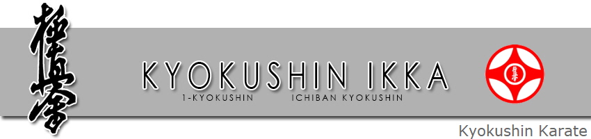 Kyokushin Karate