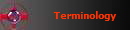 Terminology